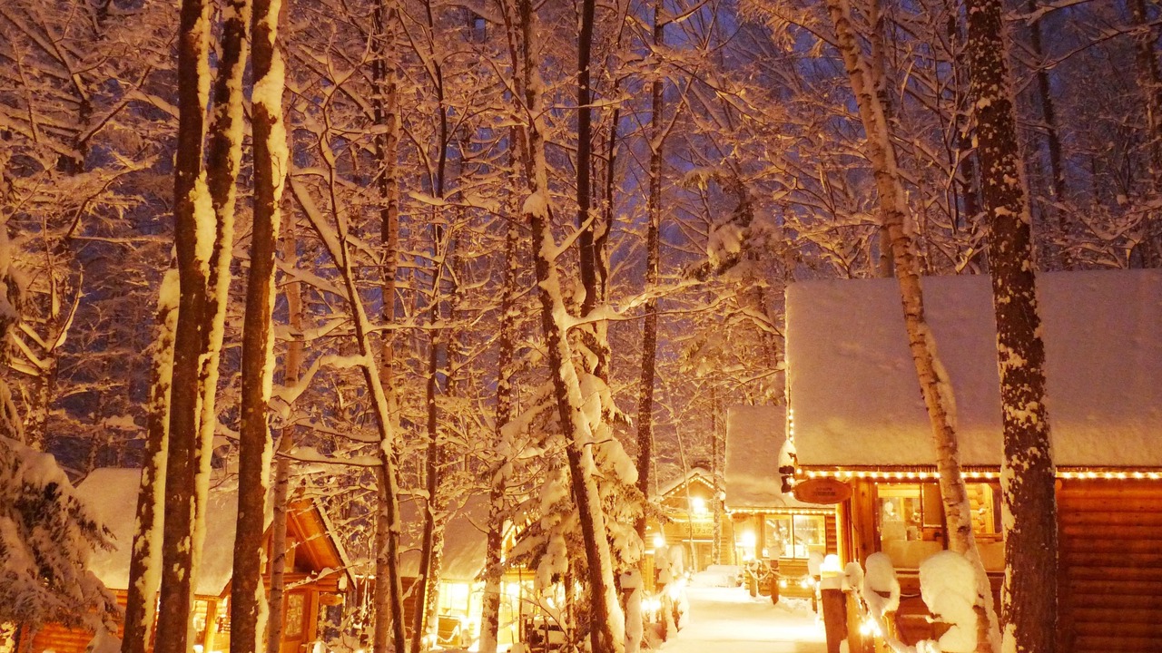 Photo of Bedroom in Furano