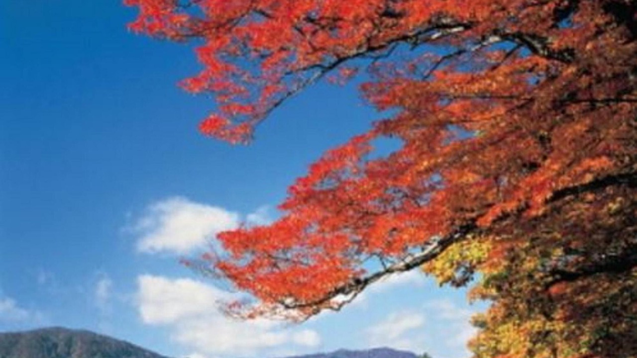 Photo of Outdoor in Kazuno-gun