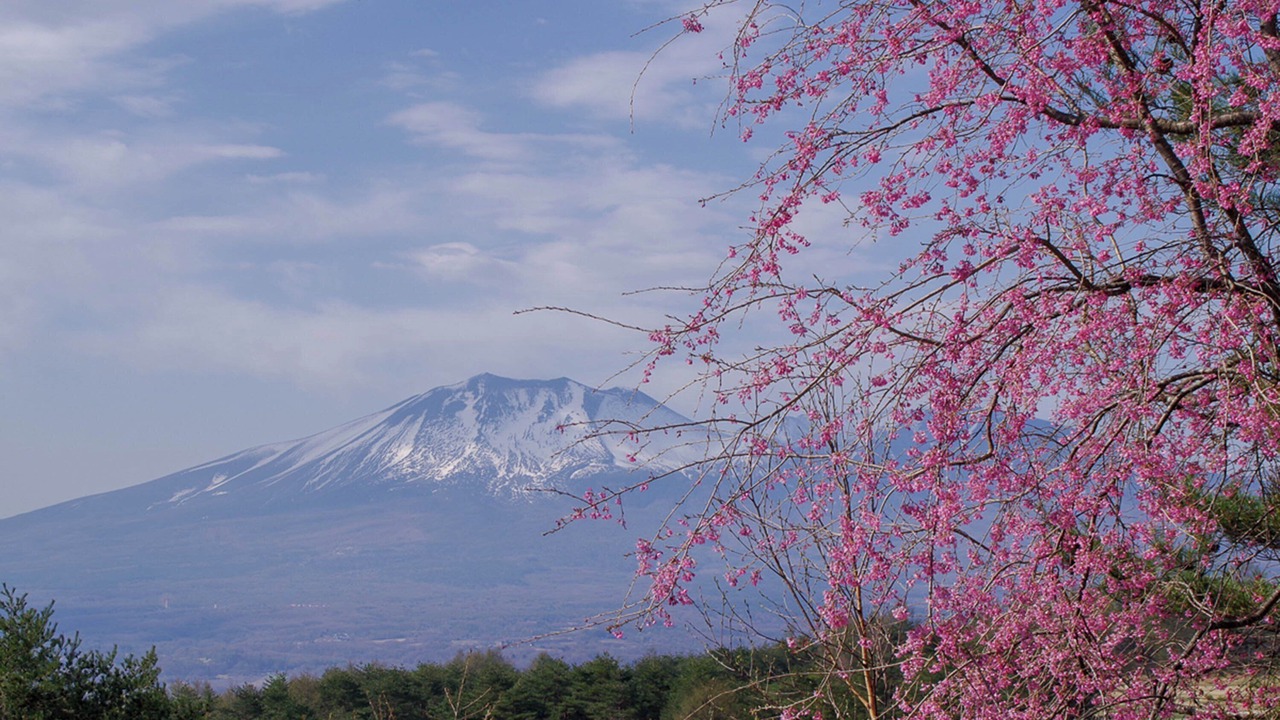 Photo of Outdoor in Mihara