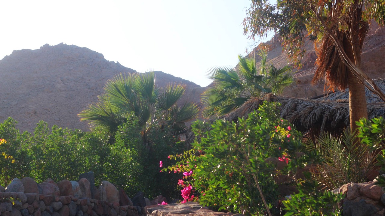 Photo of Outdoor in Dahab