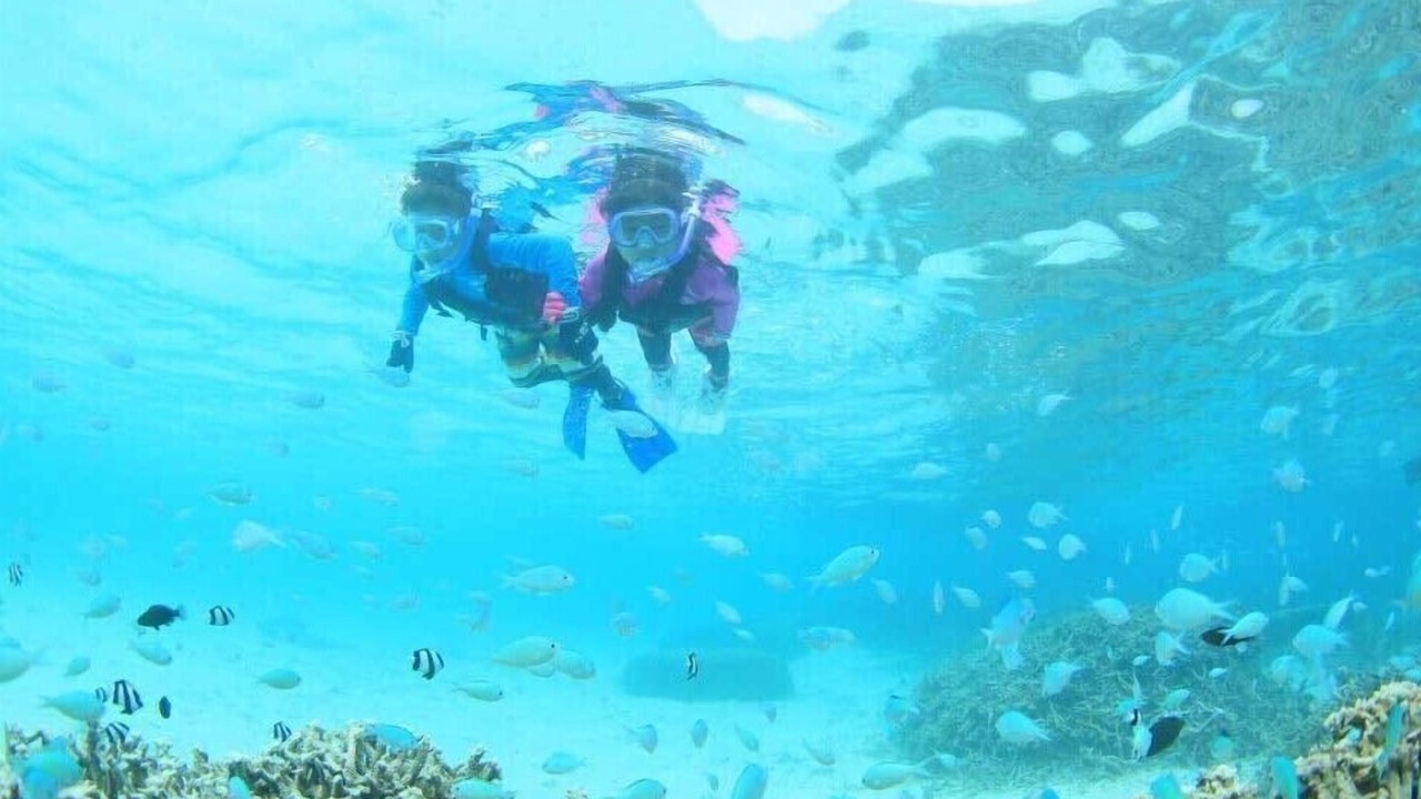 Photo of Others in Ishigaki