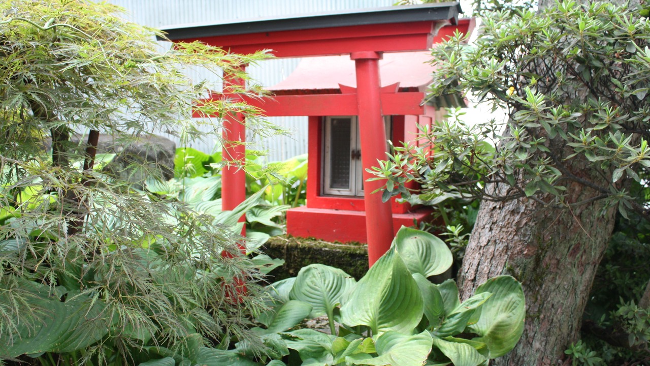 Photo of Others in Tsuruoka