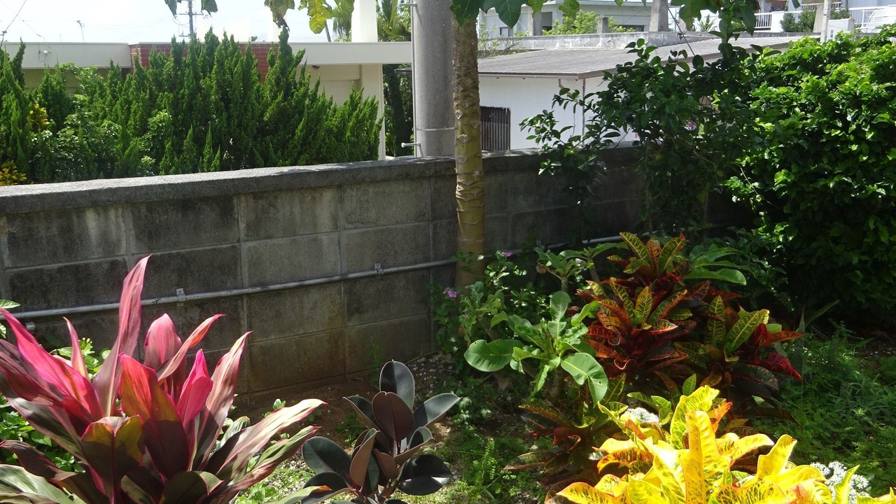 Photo of Outdoor in Itoman