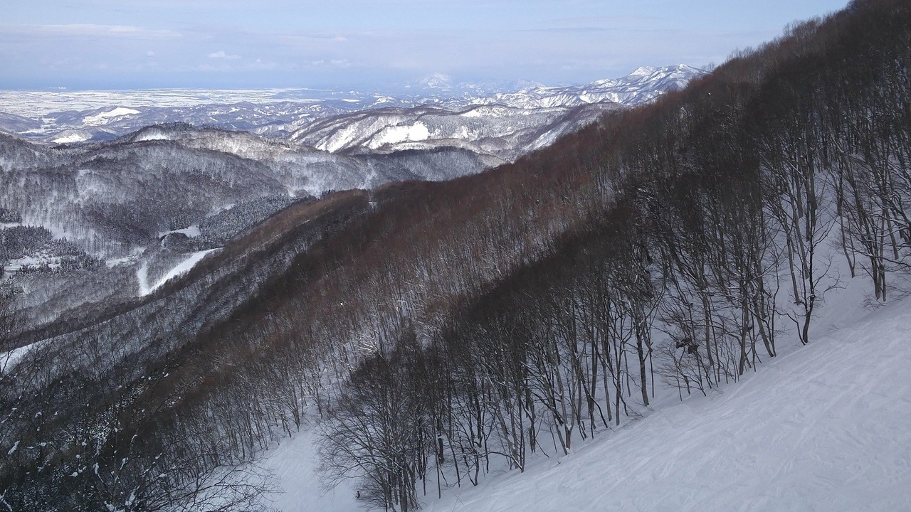 Photo of Others in Madarao Mountain Resort