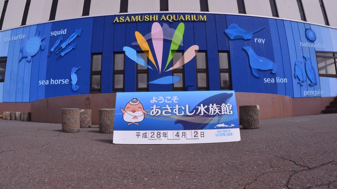 Photo of Others in Asamushi Onsen