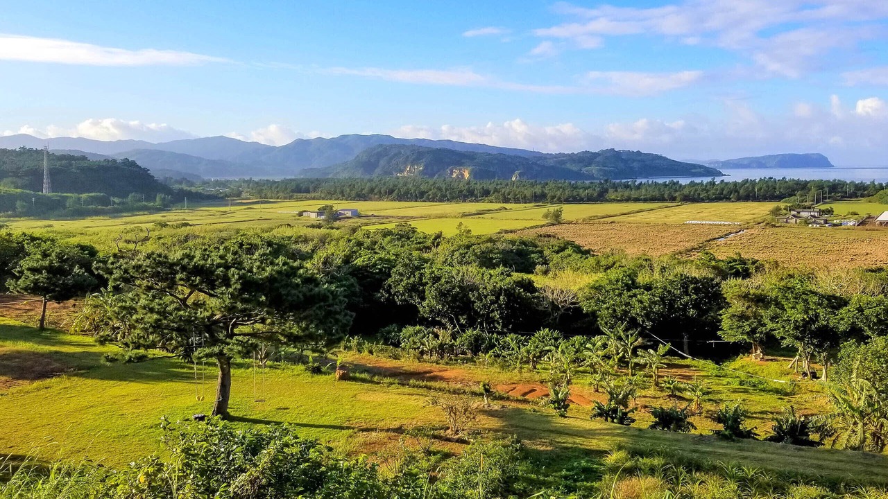 Photo of Others in Iriomote-jima Taketomi-cho