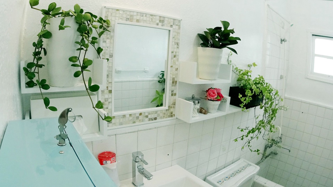 Photo of Bathroom in Chatan