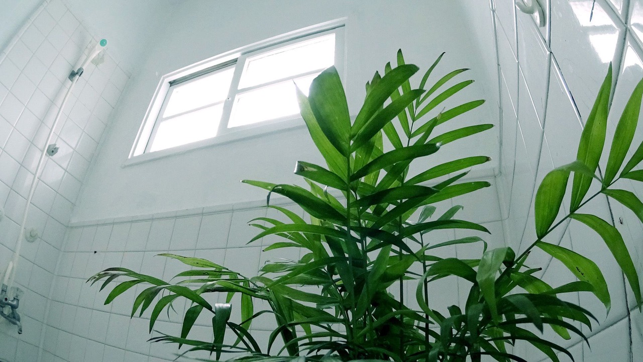 Photo of Bathroom in Chatan