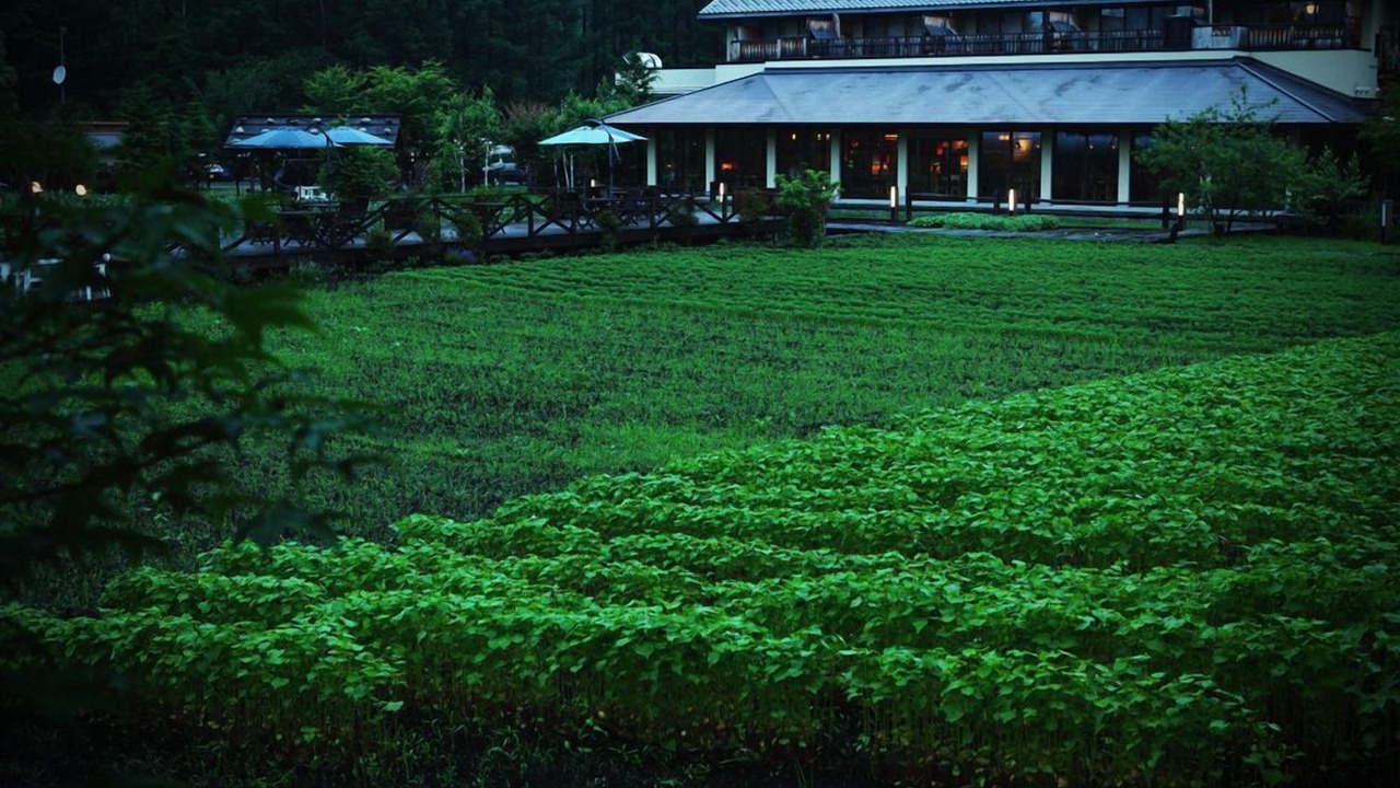 Photo of Outdoor in Kiso