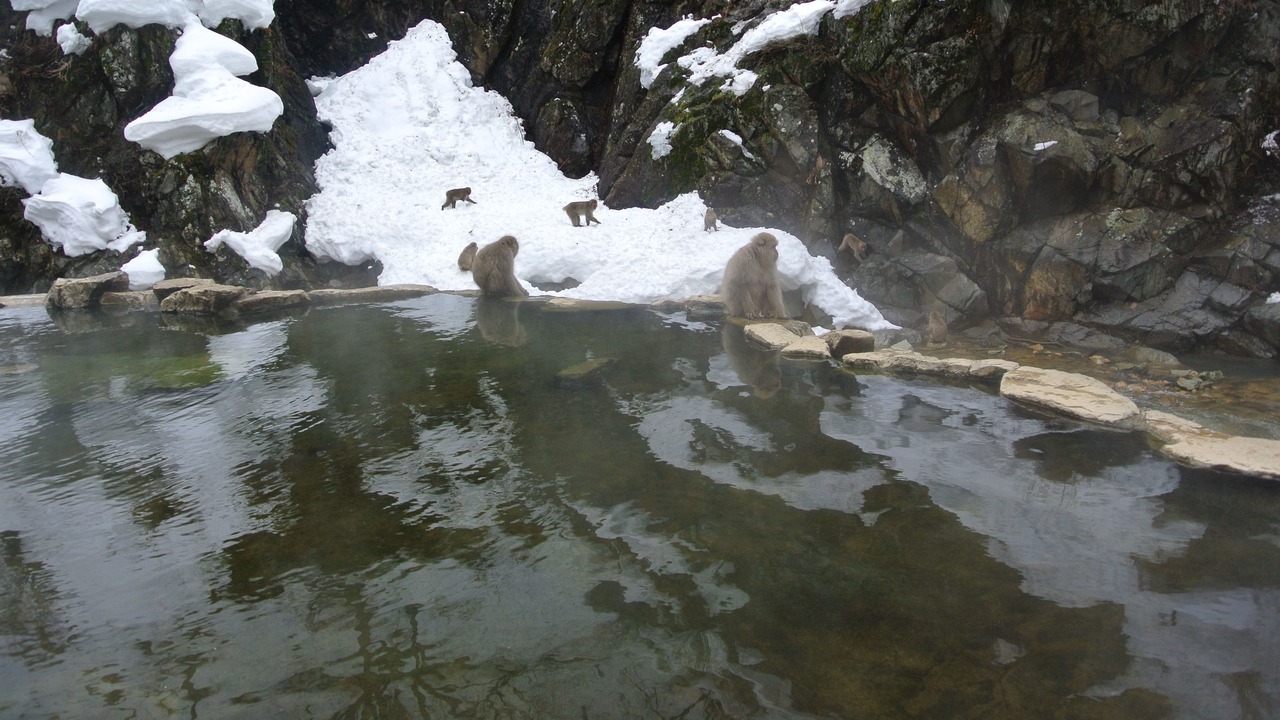 Photo of Others in Shinano