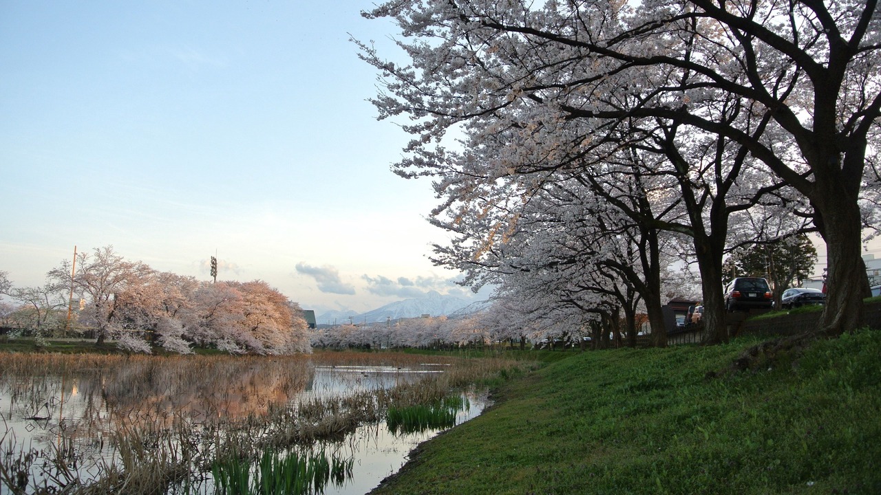 Photo of Outdoor in Shinano