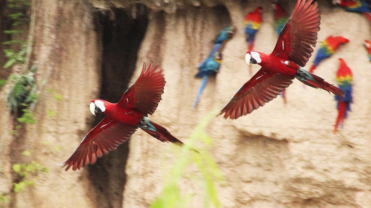 Photo of Outdoor in Inca