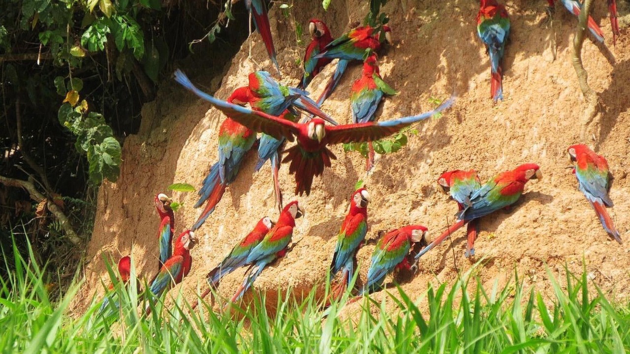 Photo of Outdoor in Inca