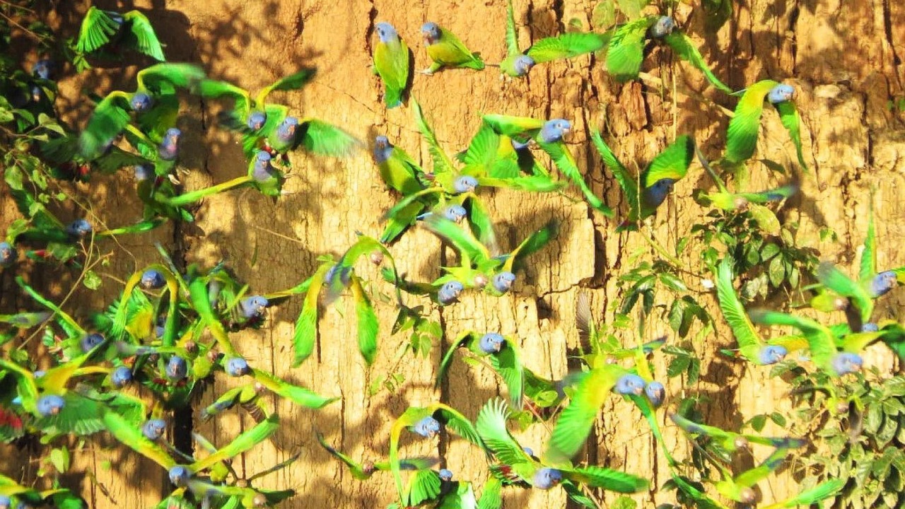 Photo of Outdoor in Inca