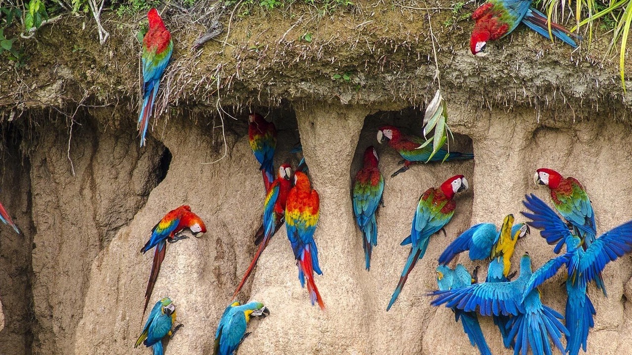 Photo of Outdoor in Inca