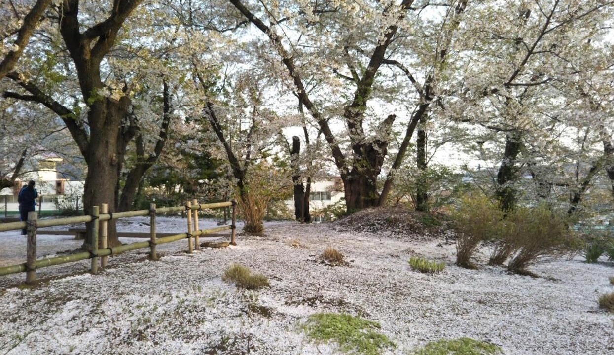 Photo of Outdoor in Iiyama