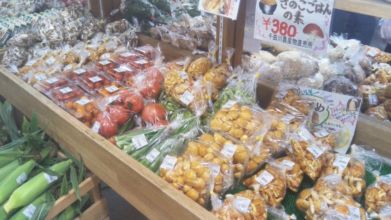 Photo of Others in Iiyama