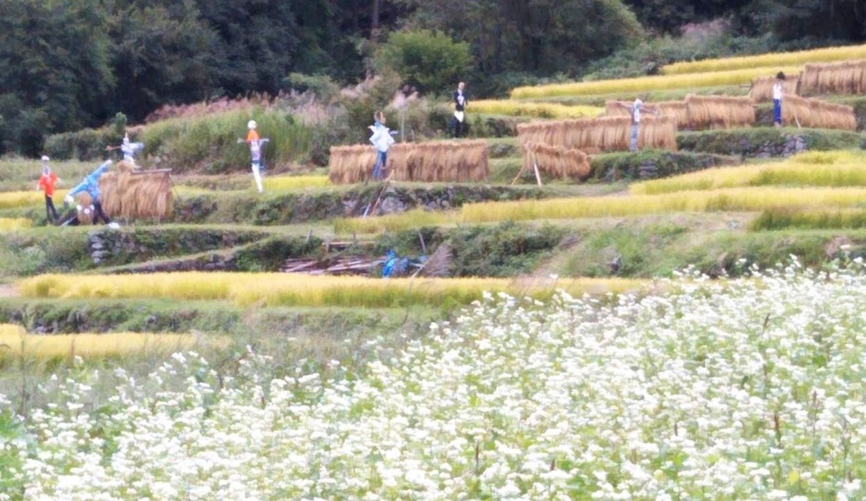 Photo of Outdoor in Iiyama