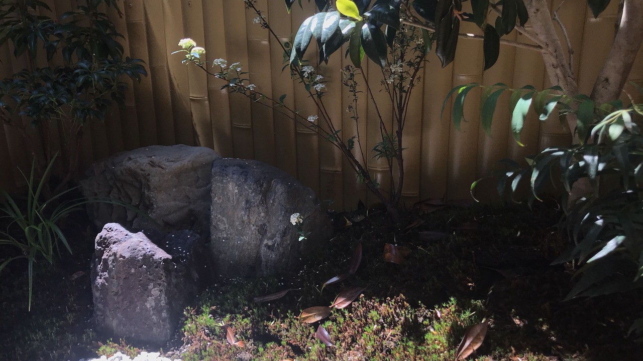 Photo of Outdoor in Higashiyama