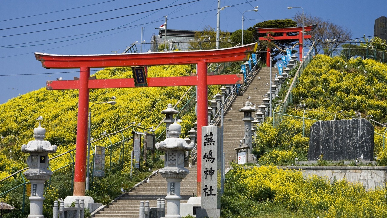 Photo of Others in Hachinohe