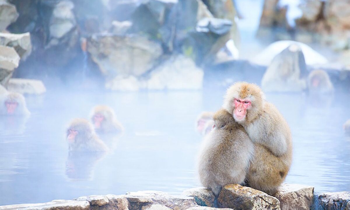 Photo of Others in Yamanouchi