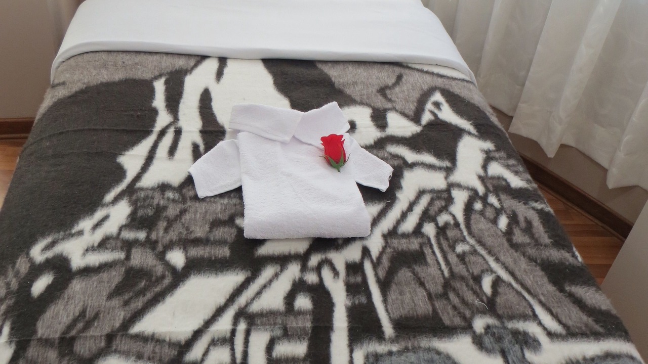 Photo of Bedroom in Puno