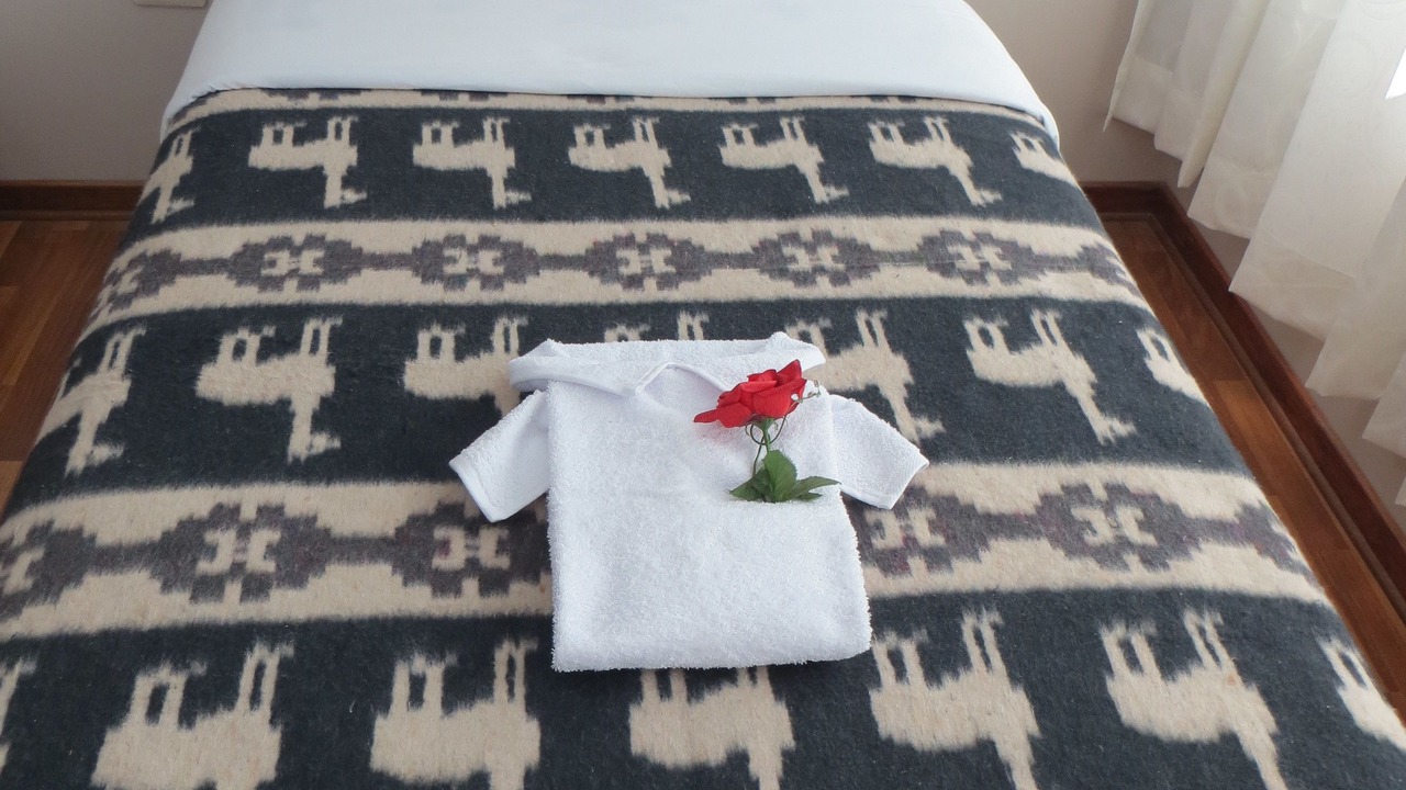 Photo of Bedroom in Puno