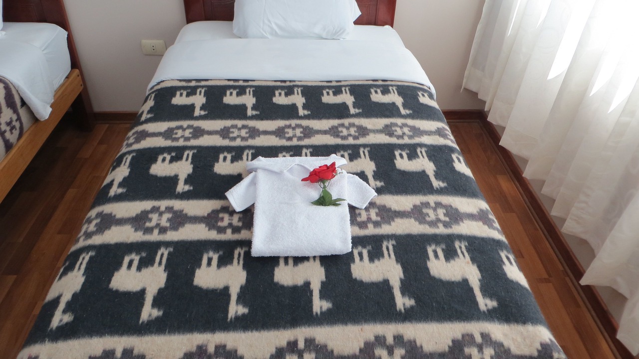 Photo of Bedroom in Puno
