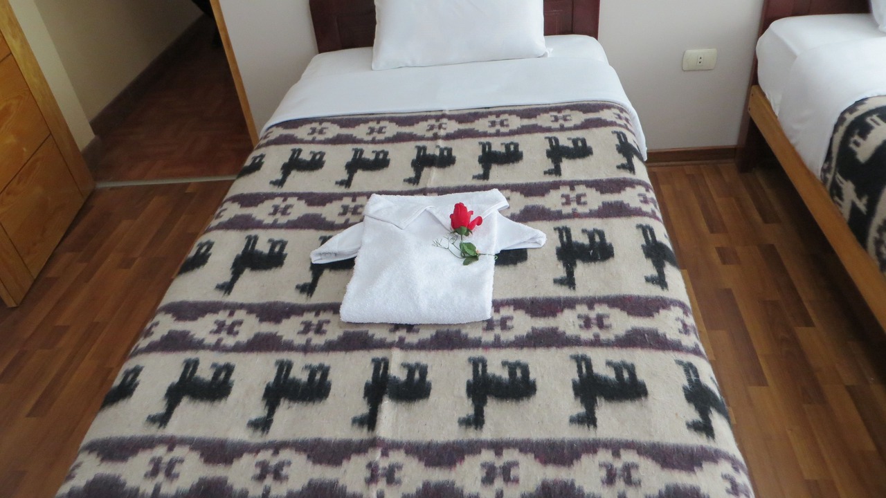 Photo of Bedroom in Puno