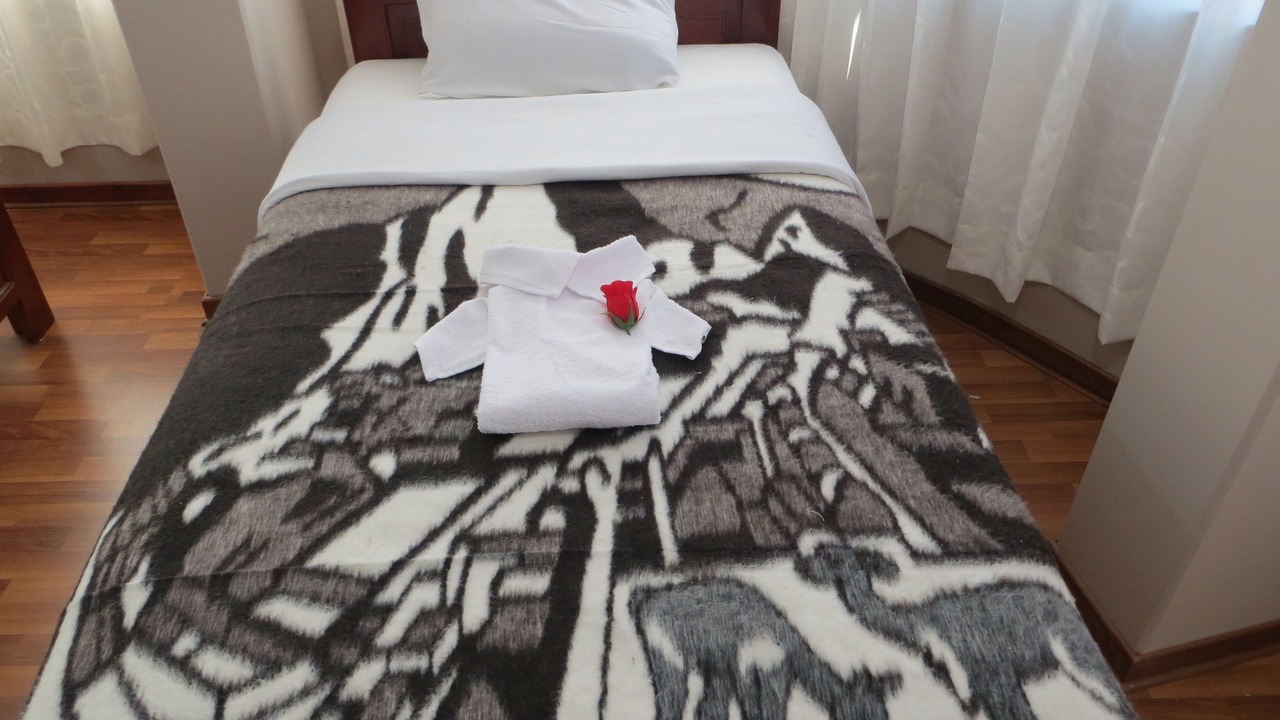 Photo of Bedroom in Puno