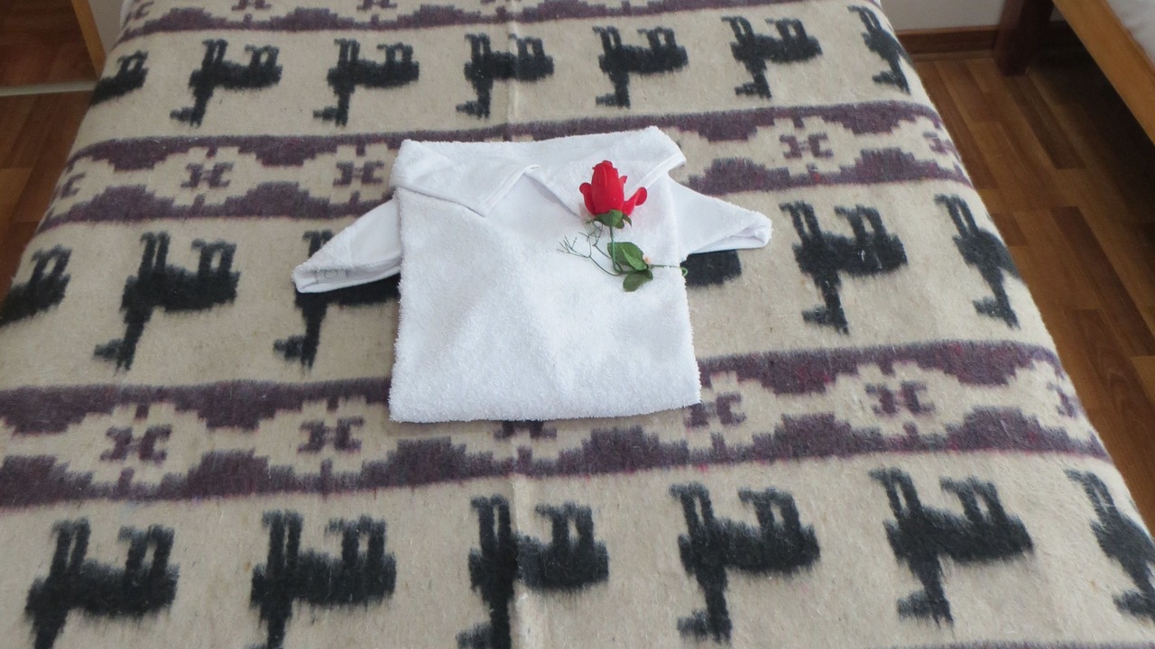 Photo of Bedroom in Puno
