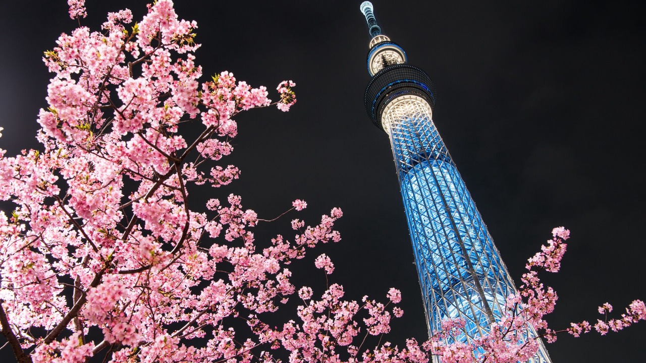 Photo of Others in Shinjuku
