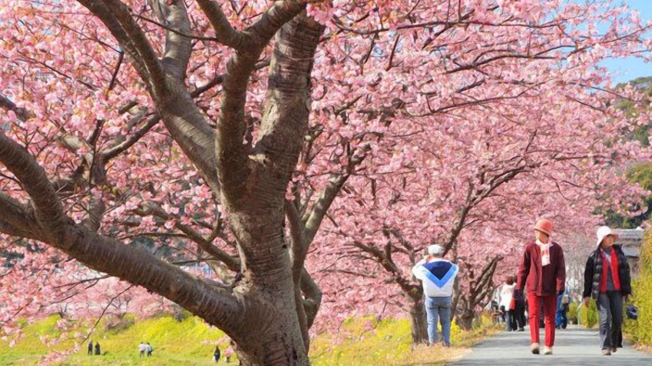 Photo of Others in Minamiizu