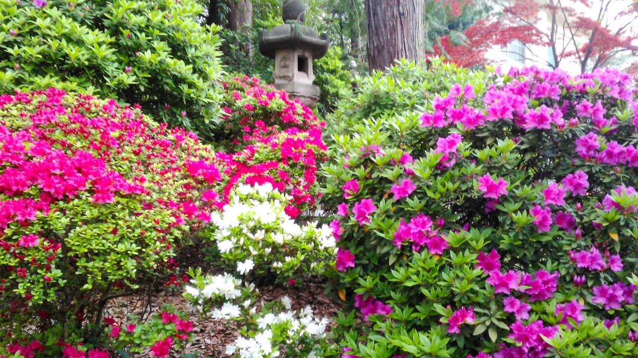 Photo of Outdoor in Nezu