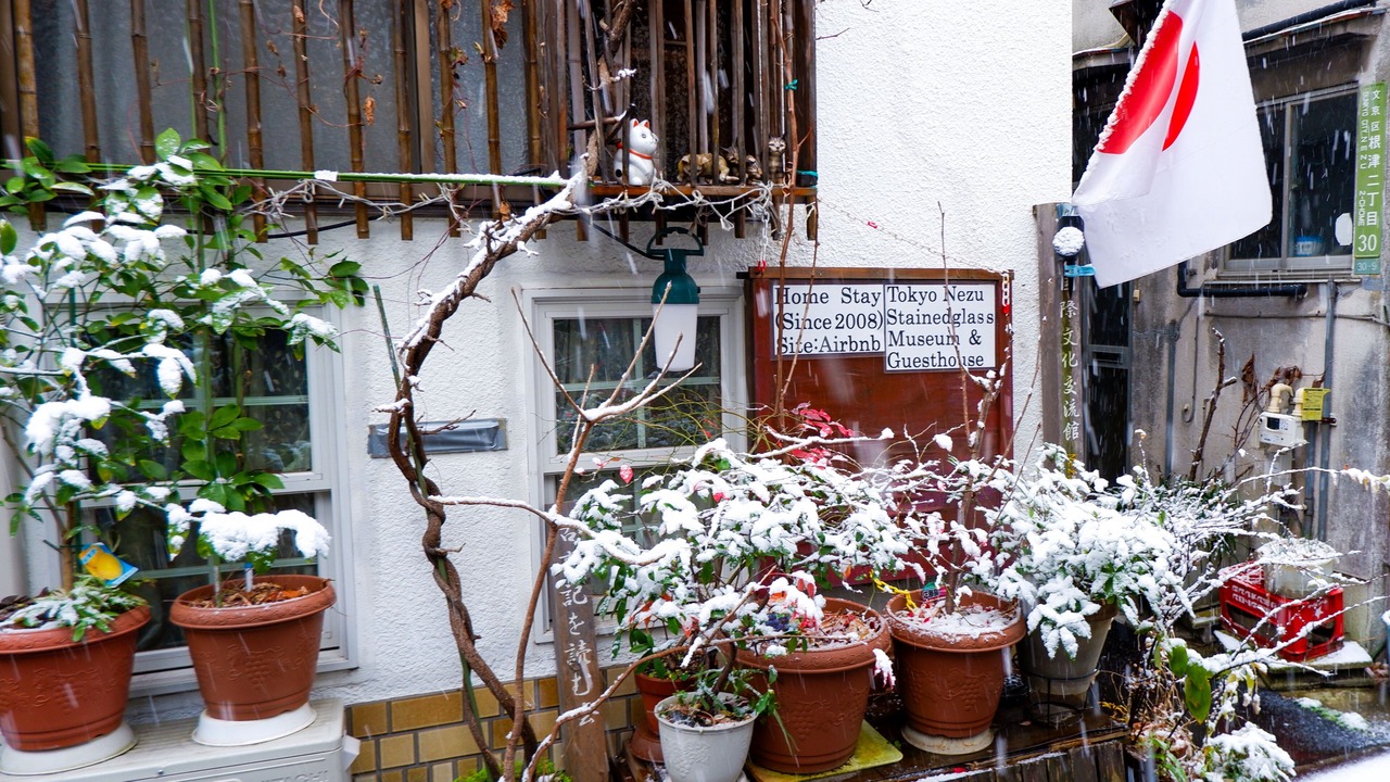 Photo of Outdoor in Nezu
