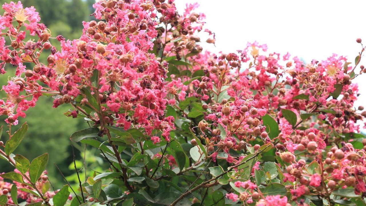 Photo of Outdoor in Taketa