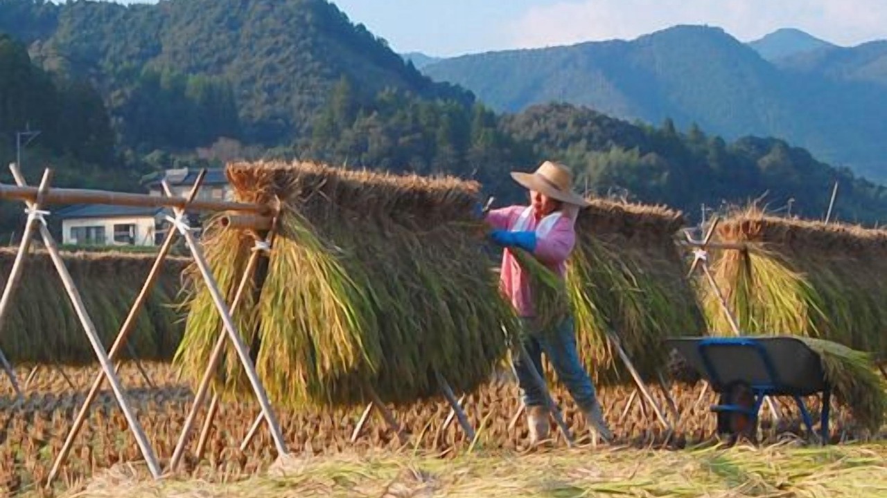 Photo of Others in Yamae