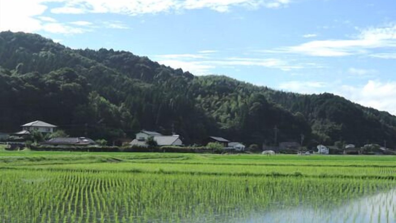 Photo of Others in Yamae