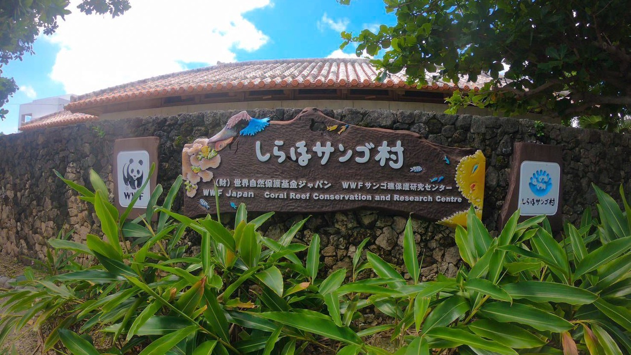 Photo of Outdoor in Shiraho