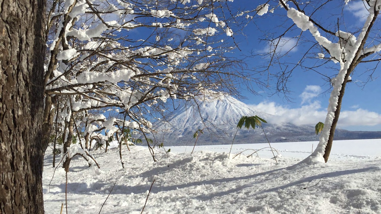 Photo of Others in Niseko