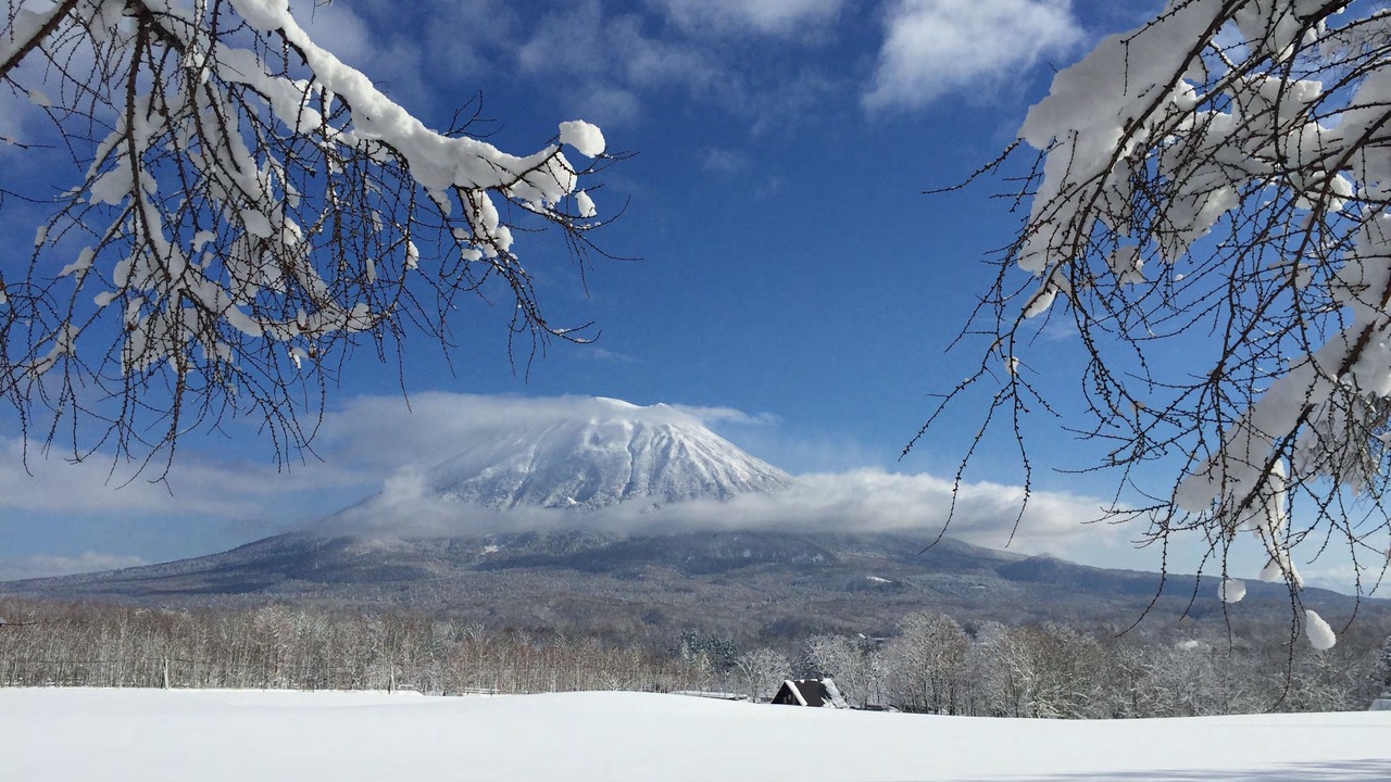 Photo of Others in Niseko