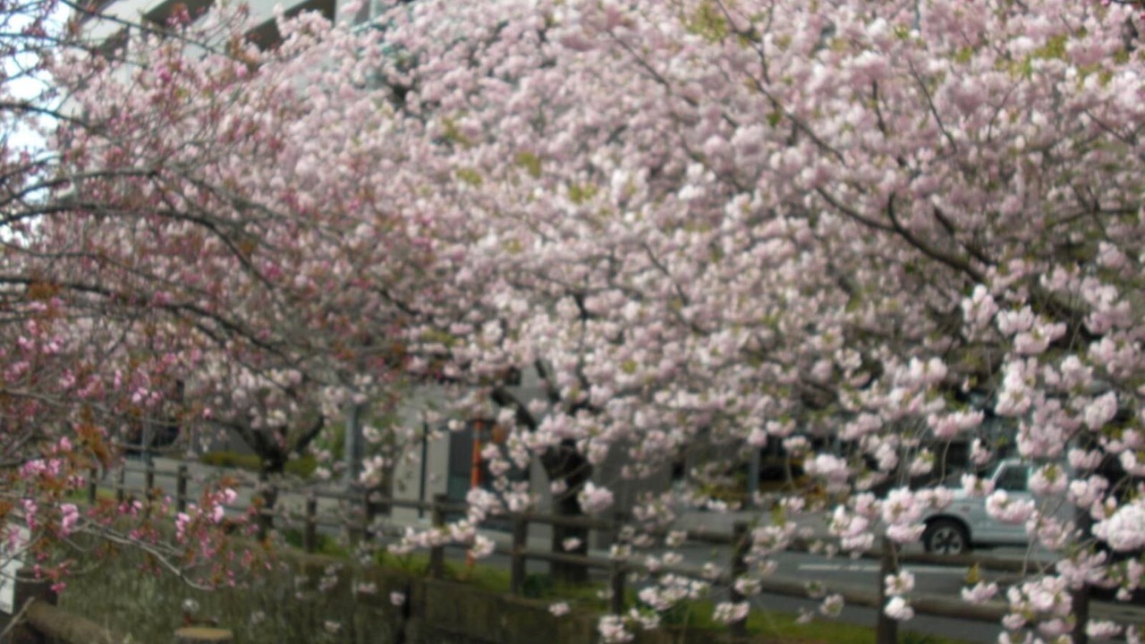 Photo of Outdoor in Hita