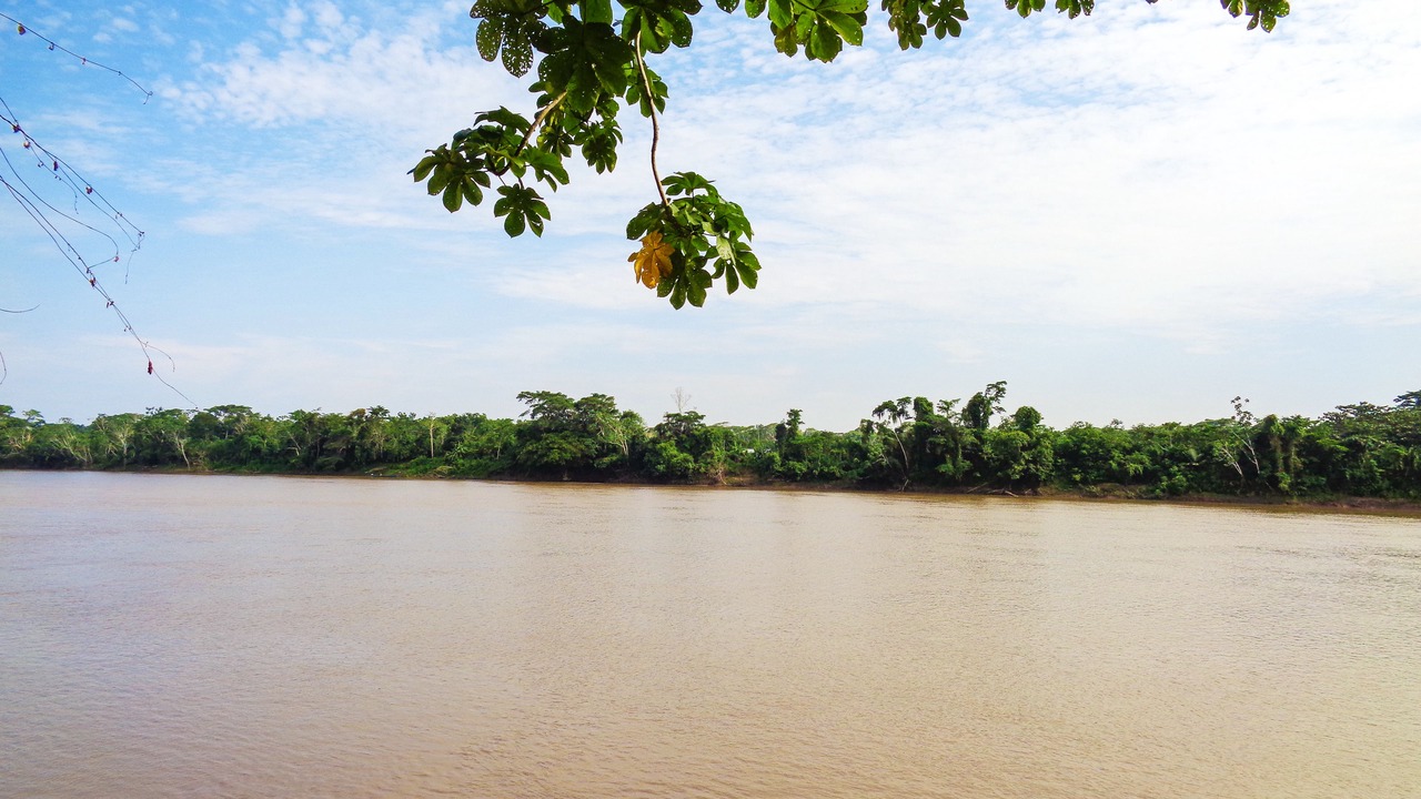 Photo of Others in Puerto Maldonado