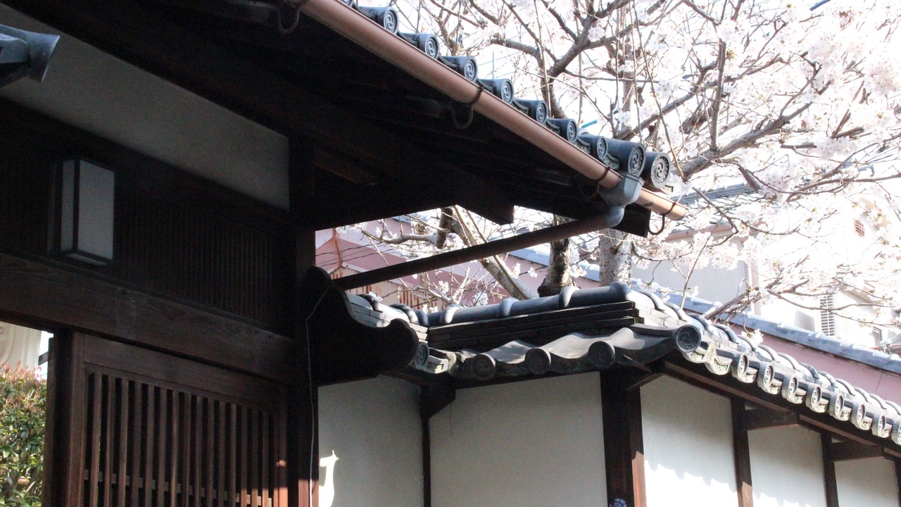 Photo of Outdoor in Nara