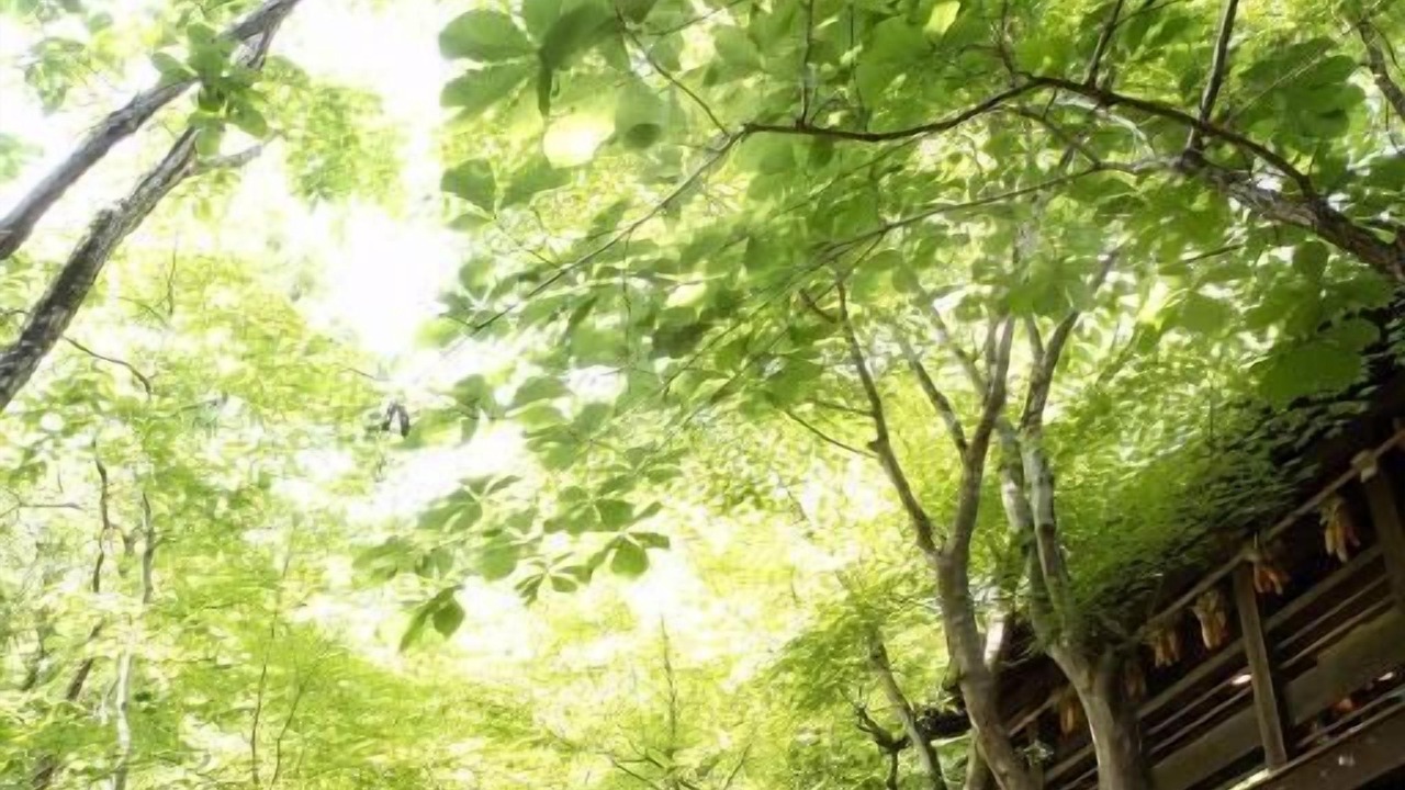 Photo of Outdoor in Yamakawa Onsen