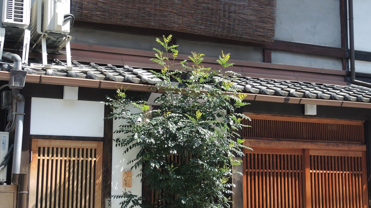 Photo of Outdoor in Central Kyoto