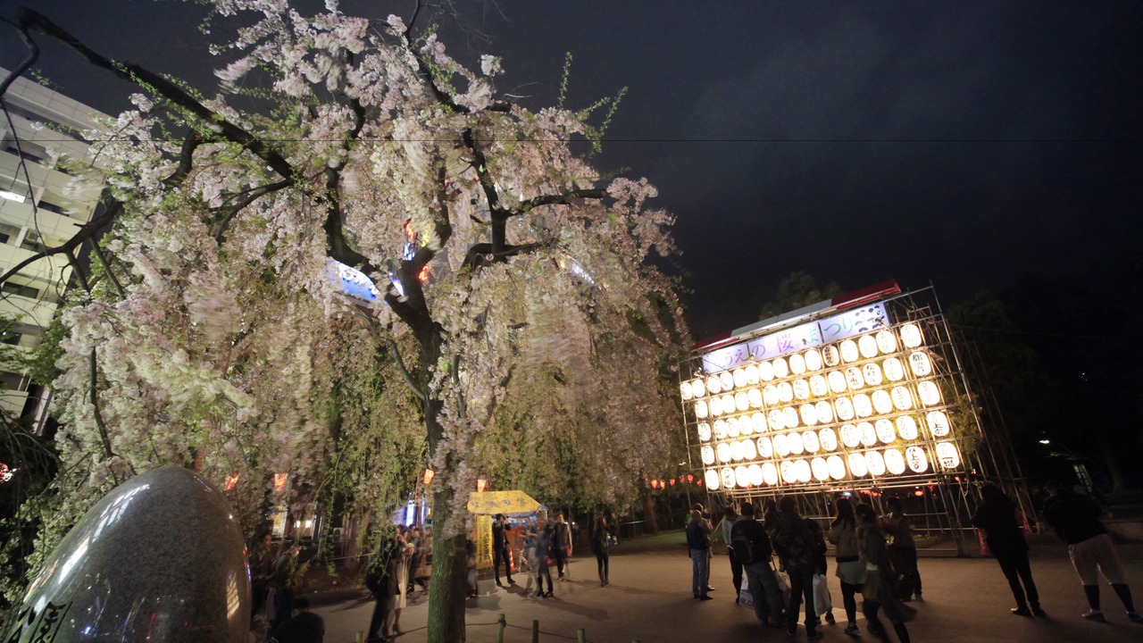 Photo of Others in Ueno
