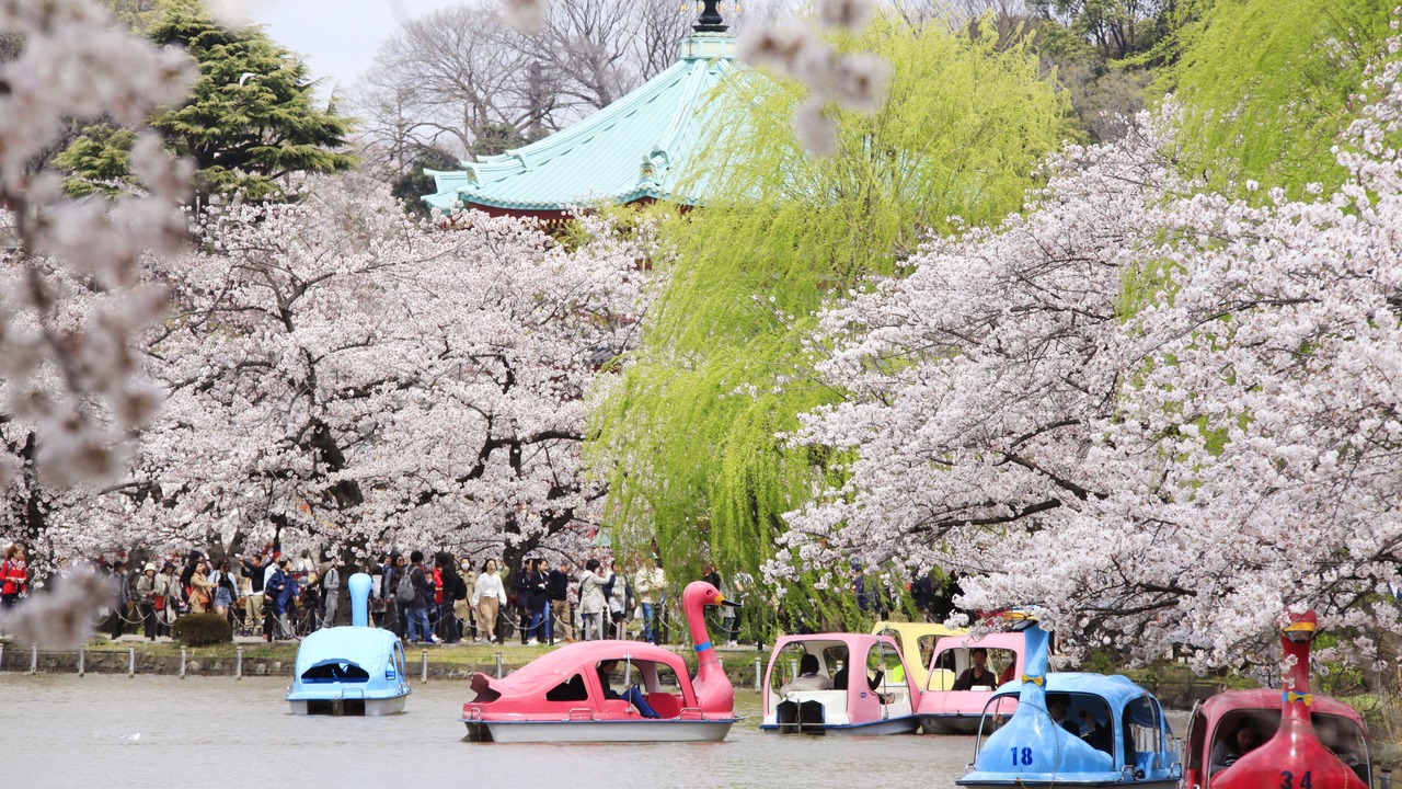 Photo of Outdoor in Ueno