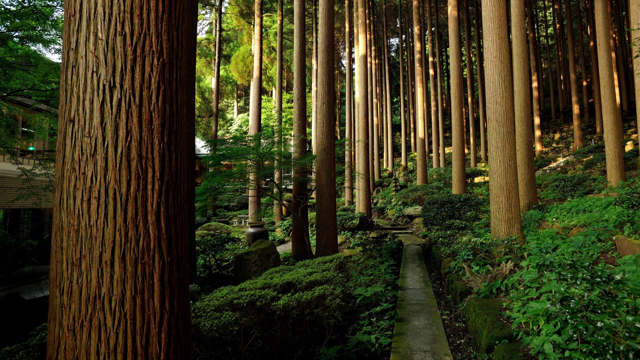 Photo of Outdoor in Kirishima