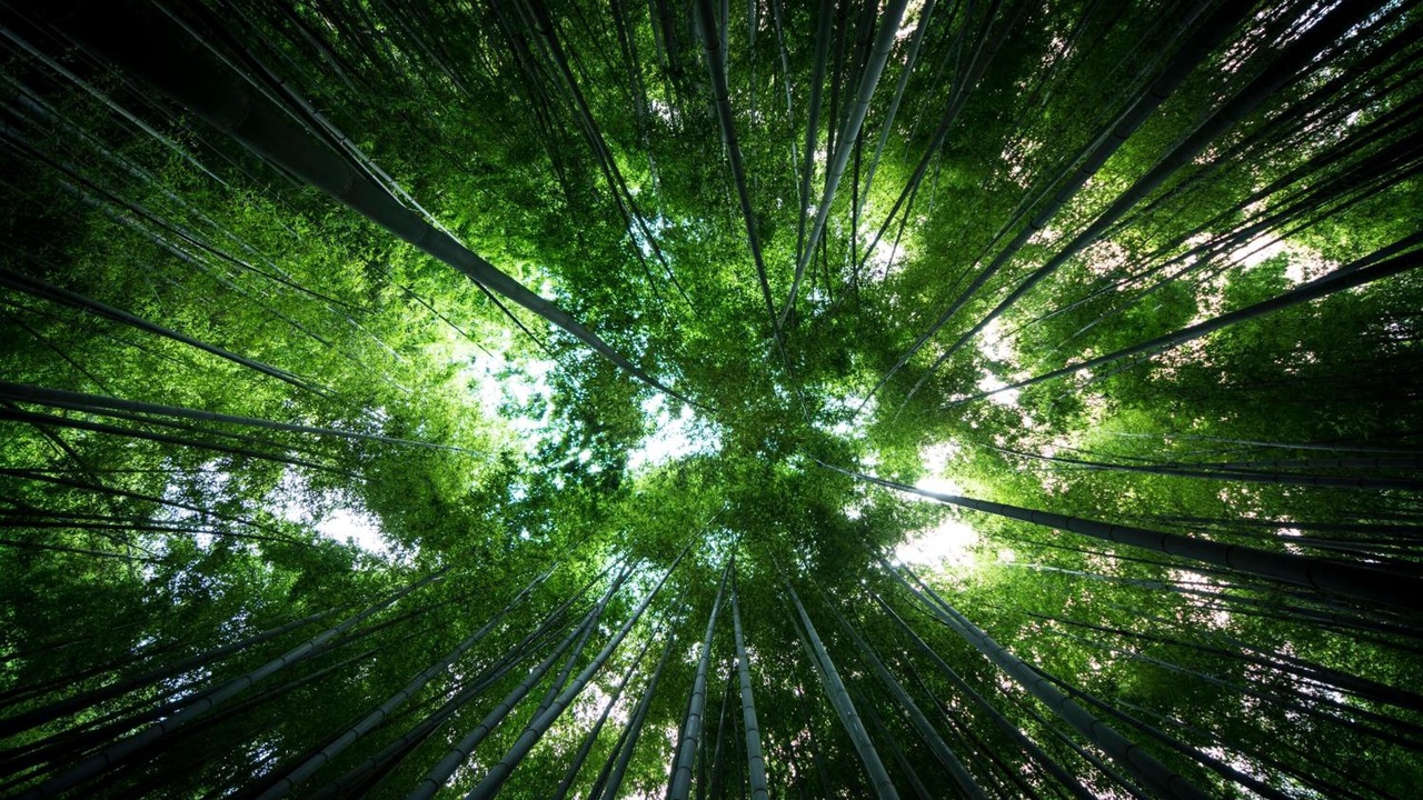 Photo of Outdoor in Kamakura